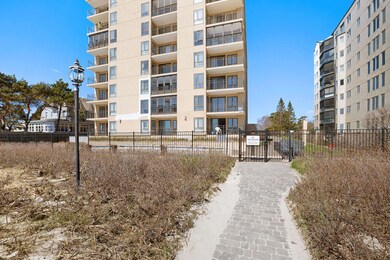 packmaynard_bschofield_205Egrandave1bold