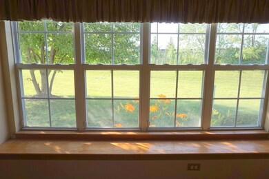 1847 Mappold Way, Joliet, IL 60435 - photo 5