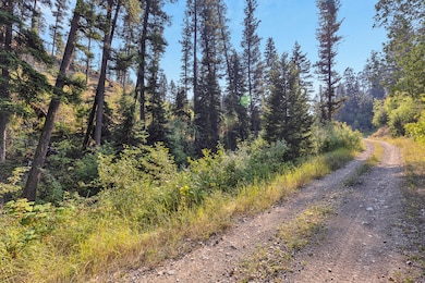 6300 Camas Creek Rd, Potomac, MT 59823 - photo 6