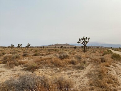 0 120th St E, Lancaster, CA 93535 - photo 2