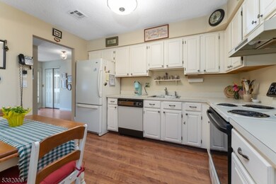 1 Gerald Ct, Lebanon, NJ 08833 - photo 3