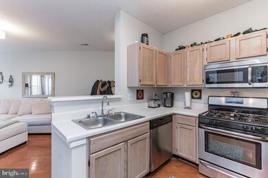 13068 Autumn Woods Way unit 102, Fairfax, VA 22033 - photo 5