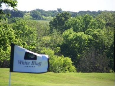 17133 Woodlawn Dr, Whitney, TX 76692 - photo 2