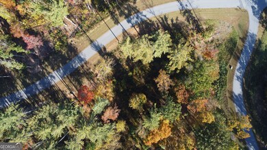 LOT 73 Leisure Mountain Trail, Sautee Nacoochee, GA 30571 - photo 6