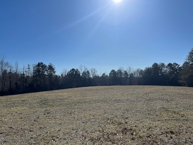 202 Ac. Chestnut Rd, Nathalie, VA 24577 - photo 4