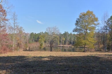 1080 Waterstone Dr, Madison, GA 30650 - photo 7