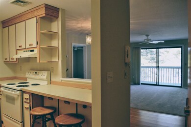 45 Dogwood Dr unit U303, Nashua, NH 03062 - photo 6