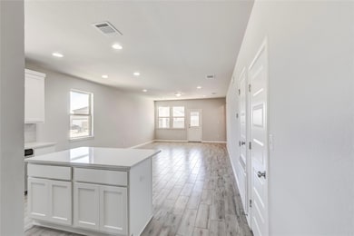 2533 Pecan Island Dr, Leander, TX 78641 - photo 7