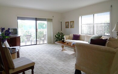 Light and bright living area