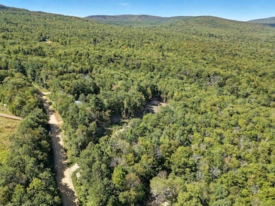 136 Newfound Hills Rd, Alexandria, NH 03222 - photo 4