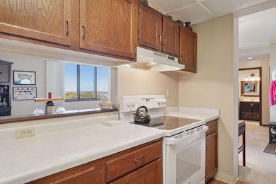 1181 Edgcumbe Rd unit 1008, Saint Paul, MN 55105 - photo 7