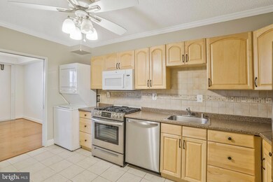 Skyline Plaza unit 1116N, Baileys Crossroads, VA 22041 - photo 6