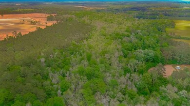 0 Pee Dee Hwy unit 25650621, Conway, SC 29527 - photo 3