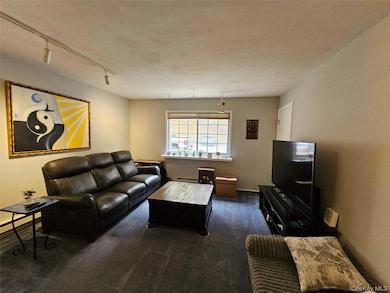 219 Fox Run Ln unit 2C, Carmel, NY 10512 - photo 4