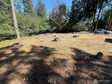 18313 Lofty Ct SE, Yelm, WA 98597 - photo 4