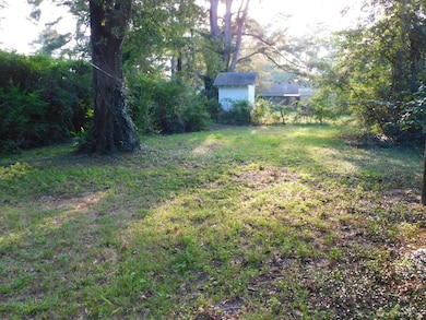 View of yard featuring a storage shed and view of scattered trees