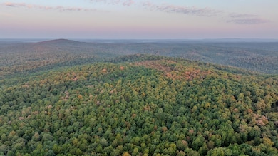 0 Annapolis Rd unit 24777060, Annapolis, MO 63620 - photo 4