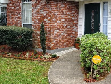 More Landscaping
