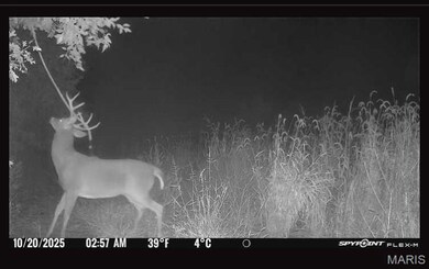 0 Knox Rd, Marceline, MO 64658 - photo 6