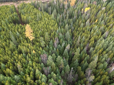 TBD Schlegel Ranch Lot 11 Rd, Ione, WA 99139 - photo 3