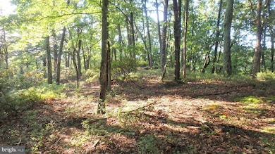 LOT 258 Nathaniel Mountain Rd, Moorefield, WV 26836 - photo 7