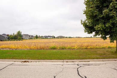 Lot view