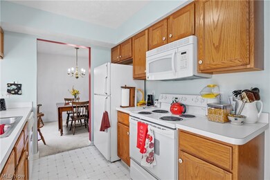 24659 Thicket Ln, Olmsted Falls, OH 44138 - photo 3