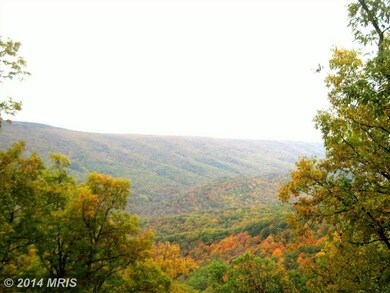 3904 Preserve Rd, Maysville, WV 26833 - photo 7