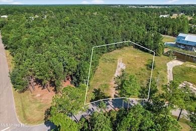 2466 Kanoa Way, Diamondhead, MS 39525 - photo 3