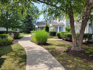 Side yard - patio from kitchen opens on to this lo