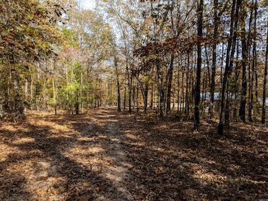 253 Judge Anderson Rd, Strawberry, AR 72469 - photo 4