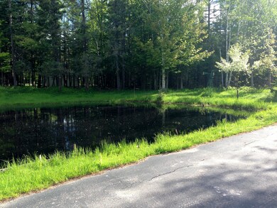 Pond