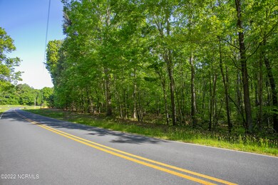 0 Mt Lebanon unit 100339333, Troy, NC 27371 - photo 6