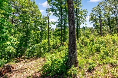 Property has two trails cut easy to walk - atv tra