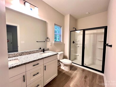 230 Chestnut Ln, Statesville, NC 28625 - photo 7