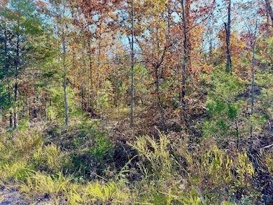 010-01589-000 Canmore Dr, Briarcliff, AR 72653 - photo 3