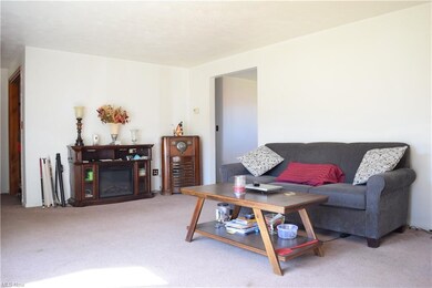 16165 Annesley Rd, East Liverpool, OH 43920 - photo 5