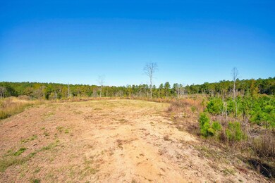 0 Bridges Rd, Carlton, GA 30627 - photo 5