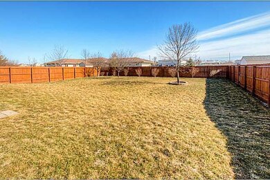 Yard/Garden.