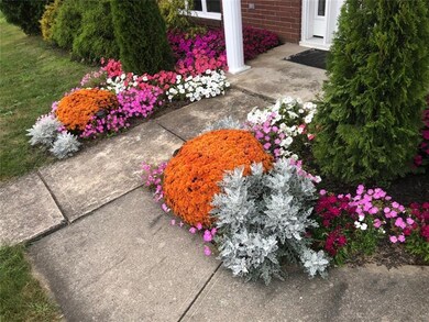 The Beauty you see here...is merely the beginning