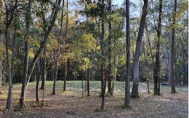 TBD SW Hill Creek Dr, Lake City, FL 32025 - photo 5