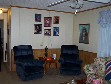 14206 Mineral Springs Rd, West Fork, AR 72774 - photo 5