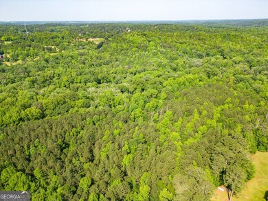 0 Salem Church Rd NE unit 10167606, Conyers, GA 30013 - photo 4