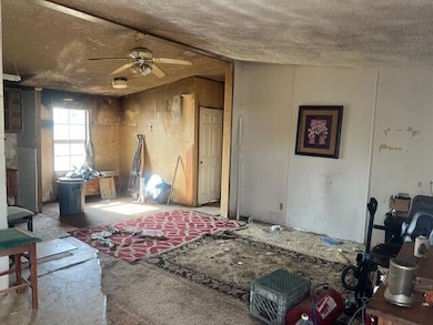 unlisted-address, Exeter, CA 93221 - photo 3