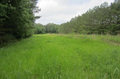 00 Highway 471 unit 4, Brandon, MS 39047 - photo 5