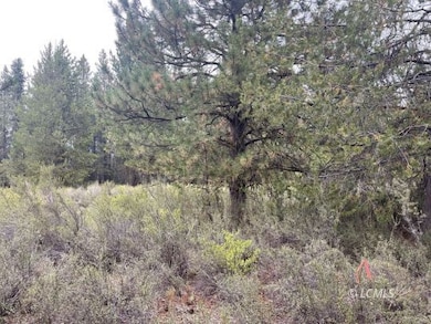 0 Oregon 140, Klamath Falls, OR 97601 - photo 6