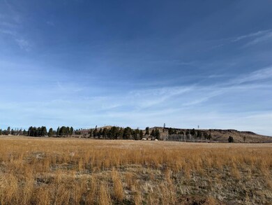 0 Skywalker Ln unit lots 5 & 6, Chiloquin, OR 97624 - photo 5