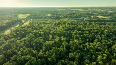 0 unit 11317518, Willow Springs, MO 65793 - photo 5