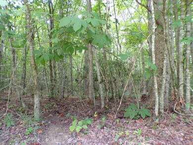 100_0809 - Copy