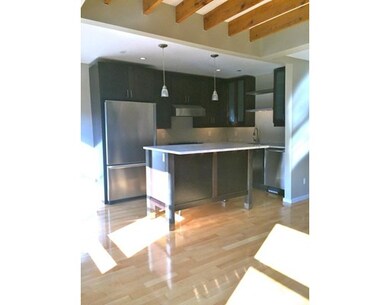 35 E Concord St unit 4, Boston, MA 02118 - photo 2